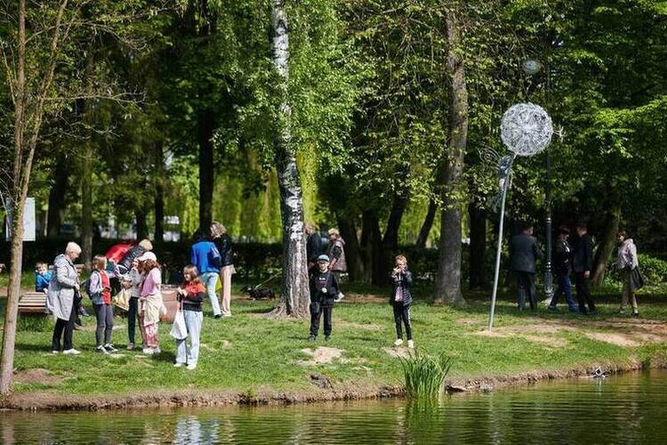 Парк Шевченка, культурні заходи