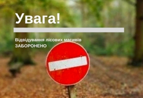 ліс