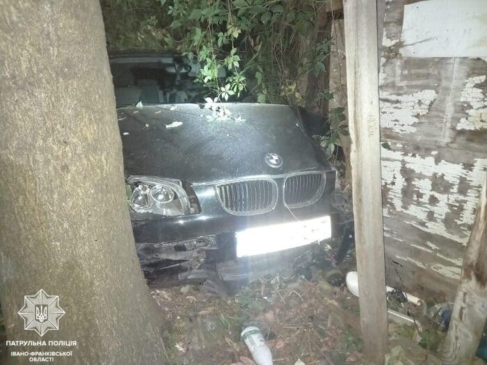 Нетверезий водій в’їхав у дерево
