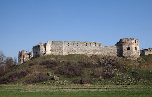 Пнівський замок (село Пнів)