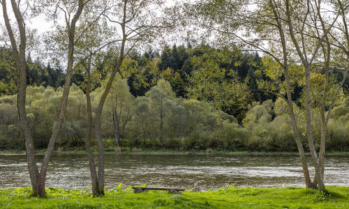 TAOR Karpaty Resort & Spa