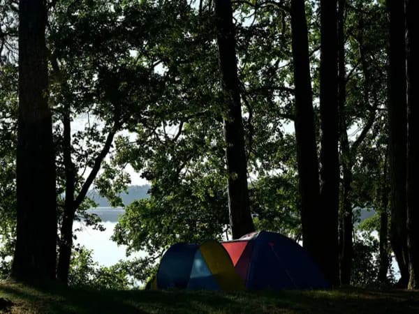 Чому варто обрати кемпінг в Івано-Франківській області?