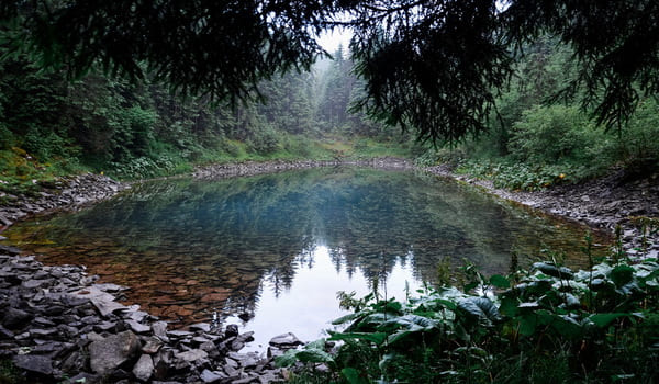 Карпатські хреби: Аршиця