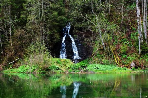 Салатручіль